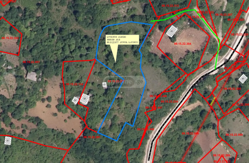 იყიდება სასოფლო-სამეურნეო მიწის ნაკვეთი ცაგერში